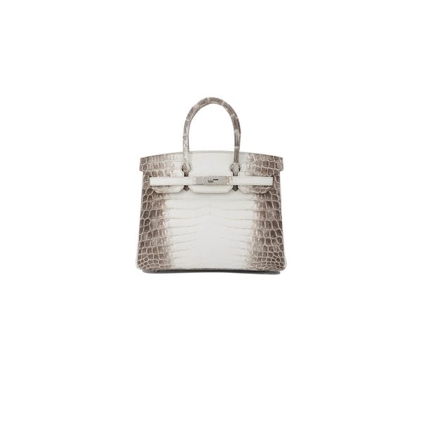 Hermès Birkin 30 Himalayan
