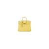Hermes Birkin 25 Bag(Tax-Free GRADE)