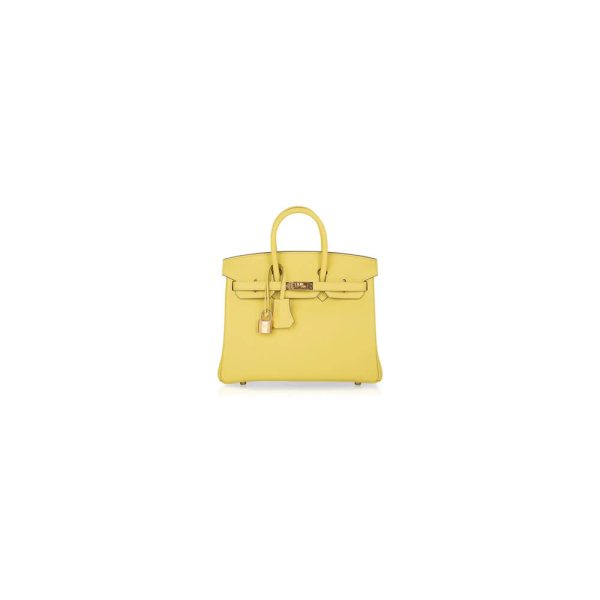 Hermes Birkin 25 Bag(Tax-Free GRADE)