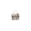 Small Dior Book Tote