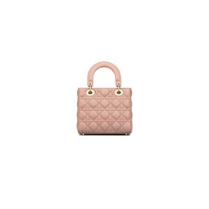 Small Lady Dior My ABCDior Bag