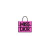 Small Dior Book Tote