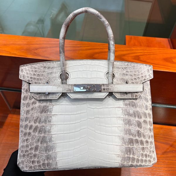 Hermès Birkin 30 Himalayan - Image 2
