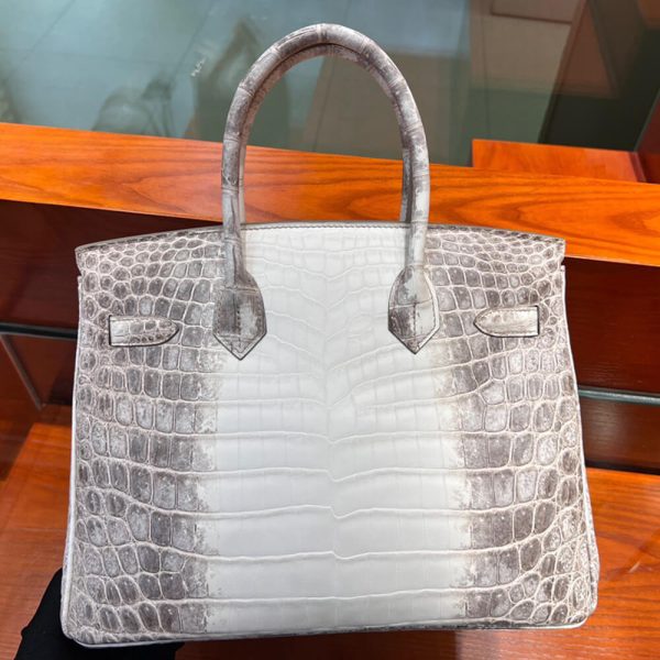 Hermès Birkin 30 Himalayan - Image 4