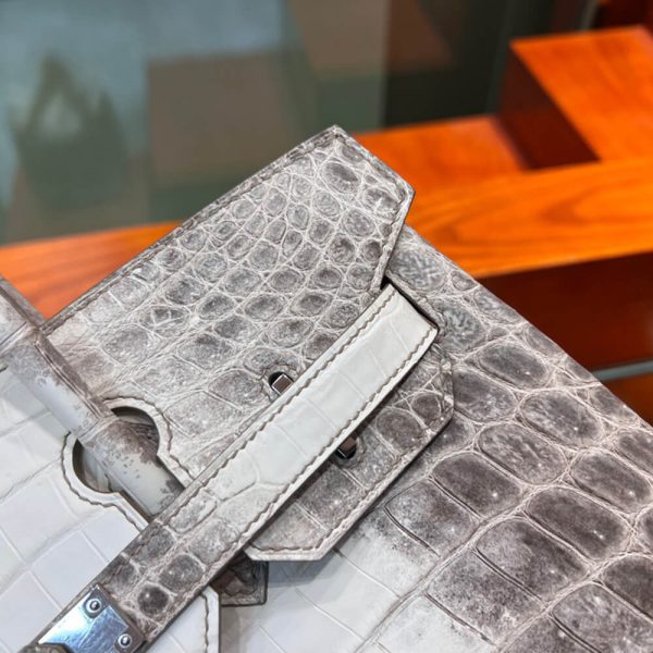 Hermès Birkin 30 Himalayan - Image 5