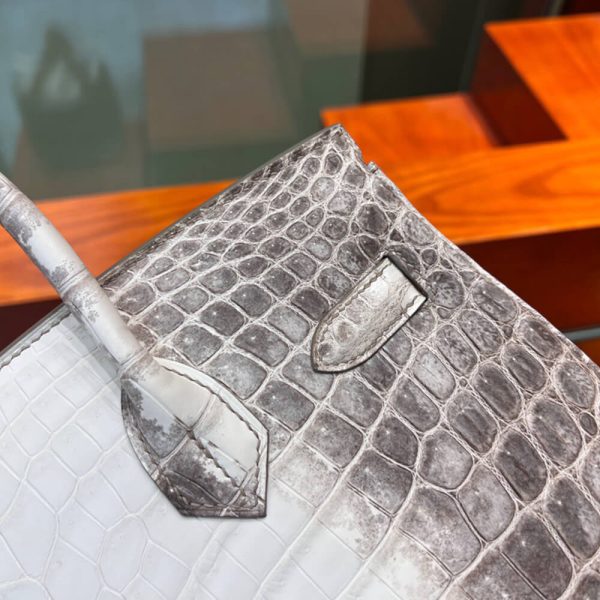 Hermès Birkin 30 Himalayan - Image 6