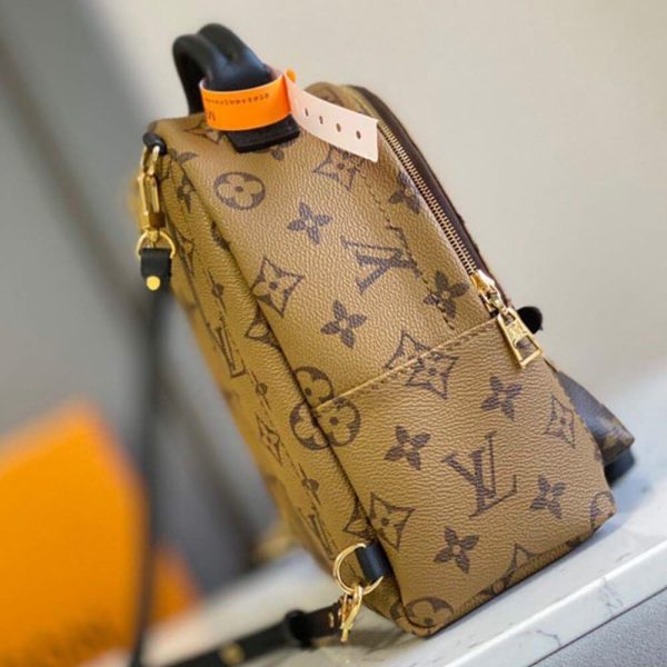 LV Palm Springs Mini(High-End Grade) - Image 3